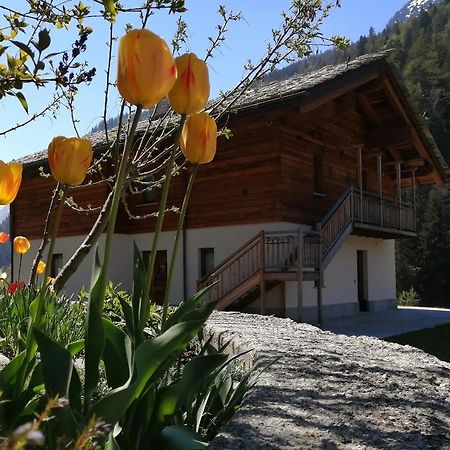 B&B Lorelei Gressoney-Saint-Jean Esterno foto